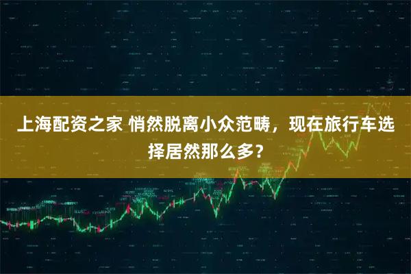 上海配资之家 悄然脱离小众范畴，现在旅行车选择居然那么多？